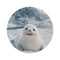 "Wildlife Baby Harp Seal Rug"