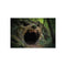 Wolf Mouth Cave Jungle Poster