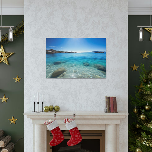 No alt text available