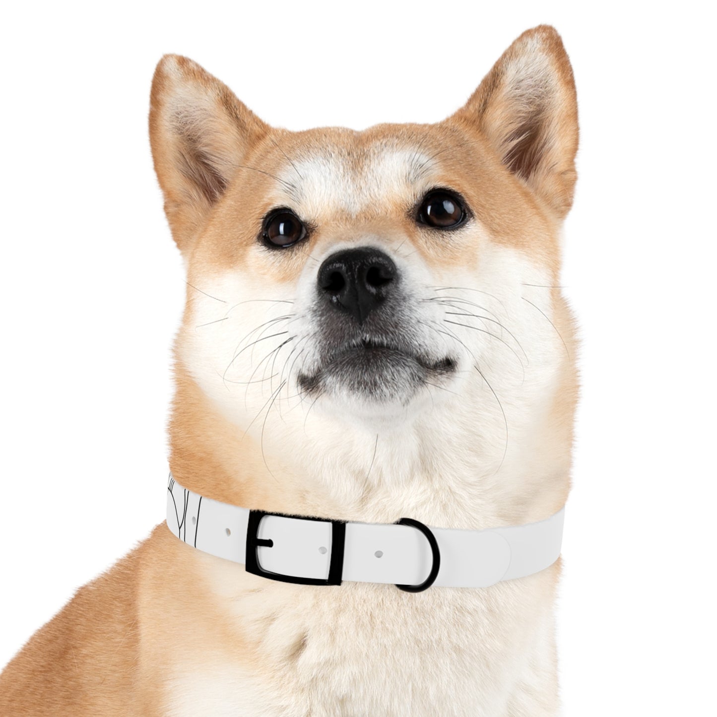 Sleek Pup Profile Collar