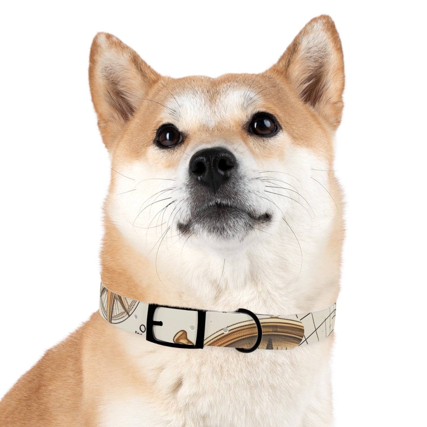 Chic Minimalist Dog Face Collar