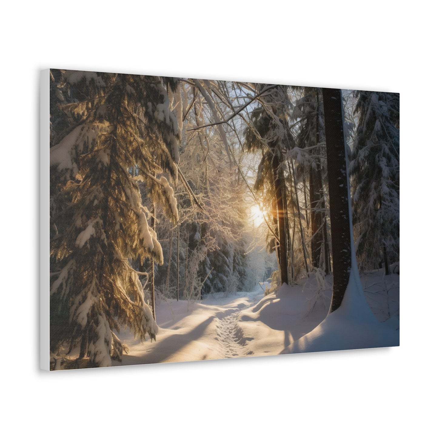 Winter Wonderland Canvas Print