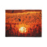 Sunset Made of Music Notes — Plush Fleece Throw Blanket — 300 GSM Plush Coral Fleece Texture Close-Up