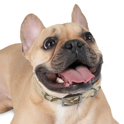 Chic Minimalist Dog Face Collar