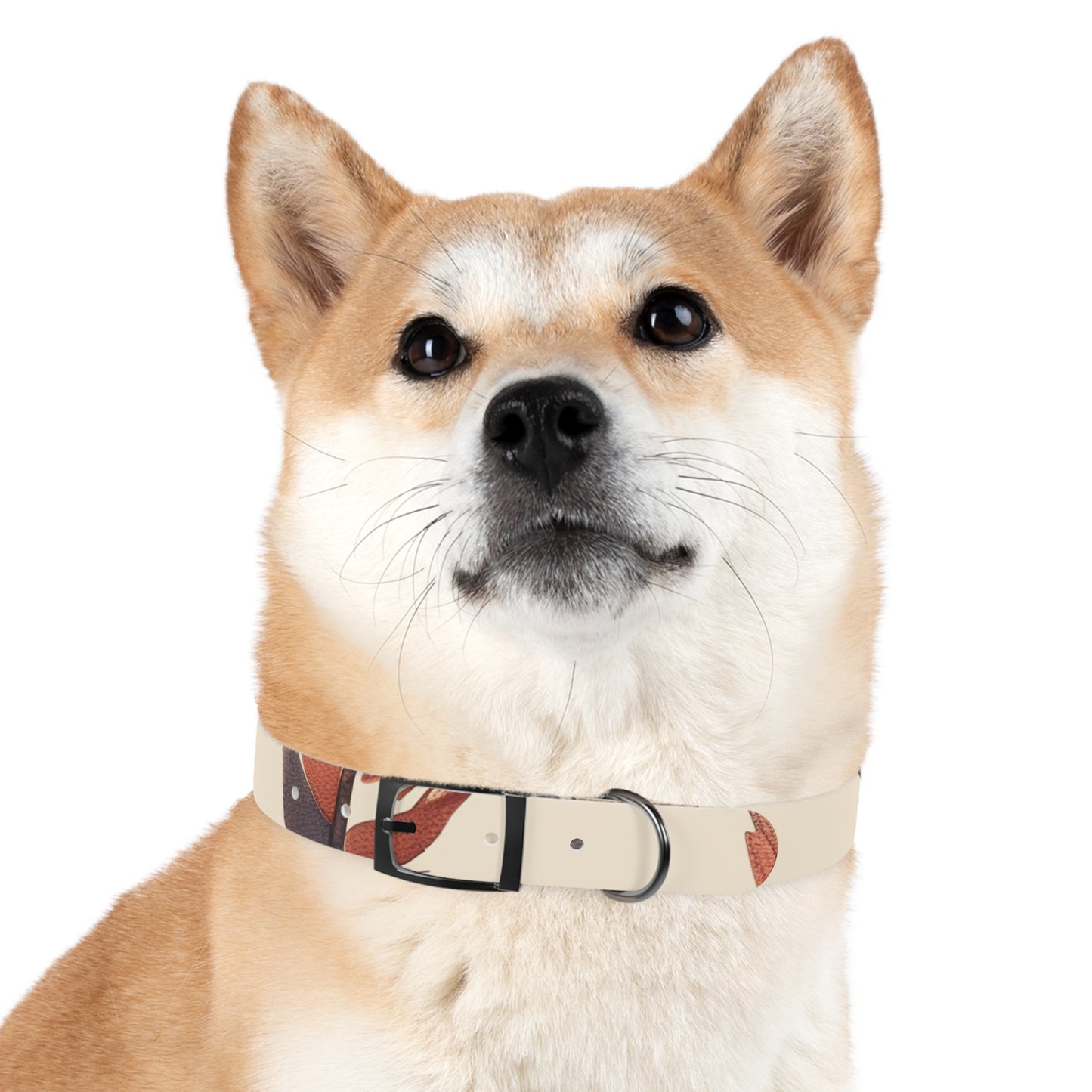 Dog Collar