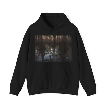 Mystical Psychic Swamp Hoodie | Hoodies | DTG, Hoodies, Men's Clothing, Regular fit, Unisex, Women's Clothing | Prints with Passion