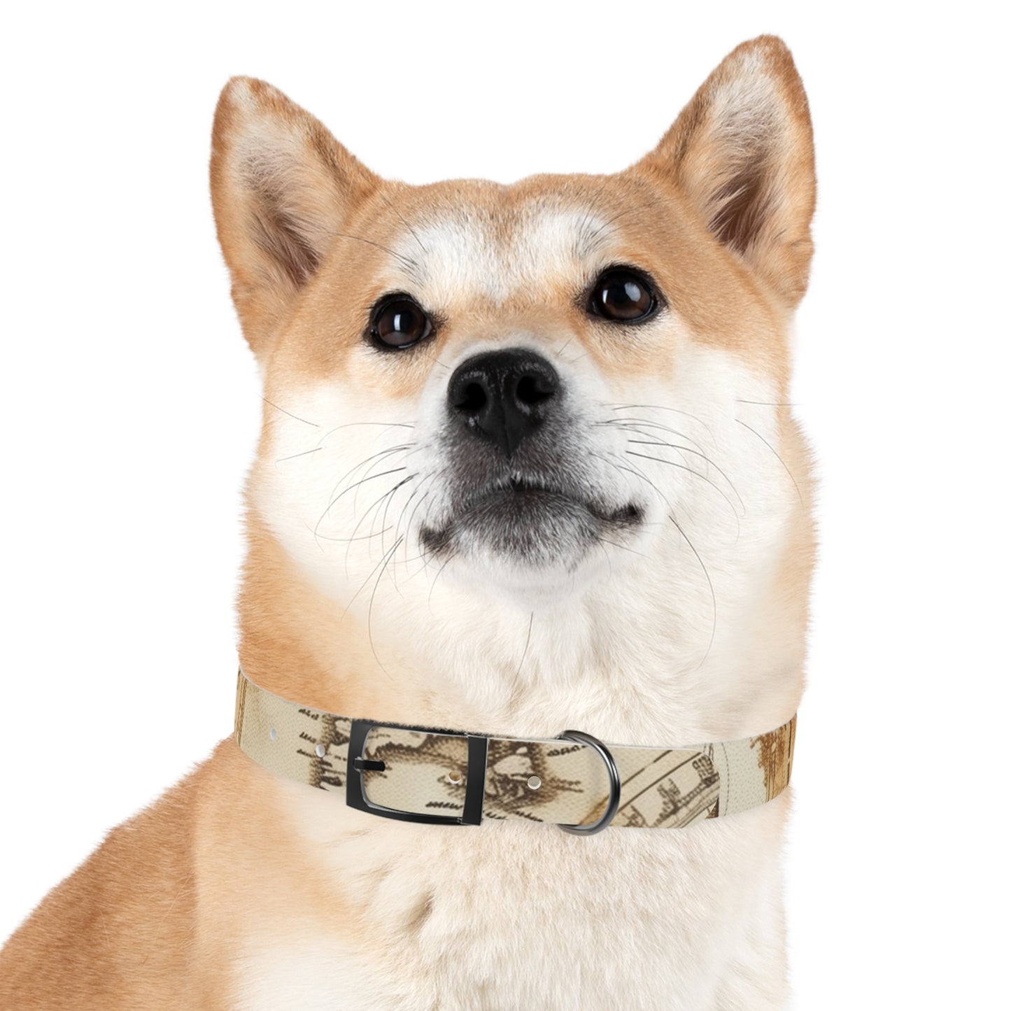 Chic Minimalist Dog Face Collar