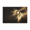 Solar Eclipse Casting Fractal Shadows — Canvas Wall Art — Front Gallery-Wrapped Canvas View