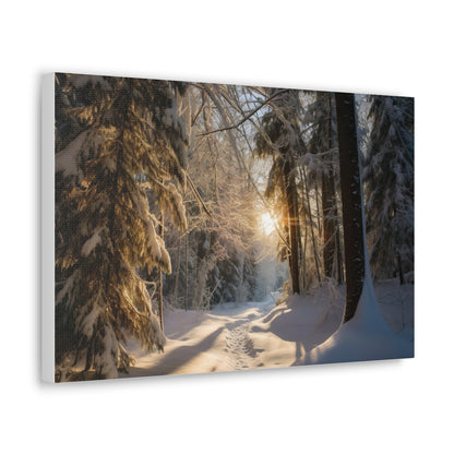 Winter Wonderland Canvas Print