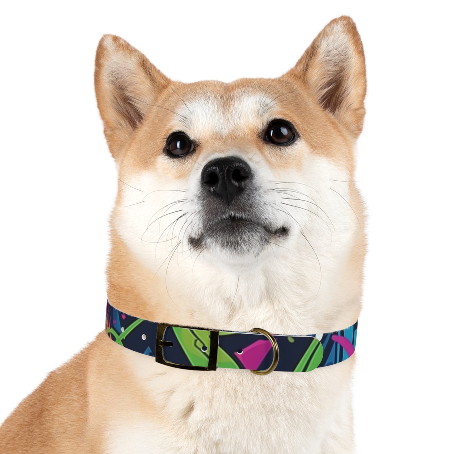 Neon Urban Graffiti Dog Collar