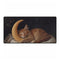 Celestial Cat Sleeping on Crescent Moon XXL Extended Desk Mat – Prints With Passion (View 1)