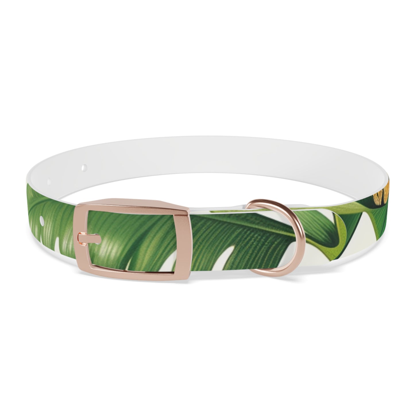 Tiger Stripe Jungle Collar: Adventure for Your Pup