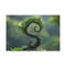 Spiral Tree Growing Upside Down — Canvas Wall Art — Front Gallery-Wrapped Canvas View