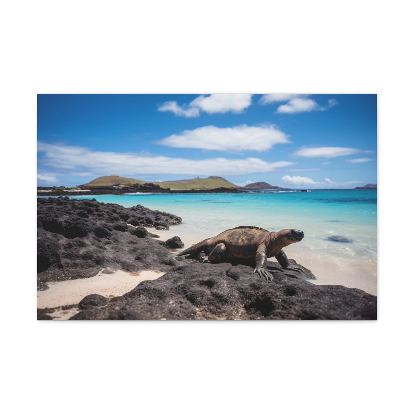 Galapagos Cruise Canvas Adventure | Canvas | Art & Wall Decor, Canvas, Fall Picks, Hanging Hardware, Home & Living, Indoor, Top Spring Products, Valentine's Day promotion | Prints with Passion