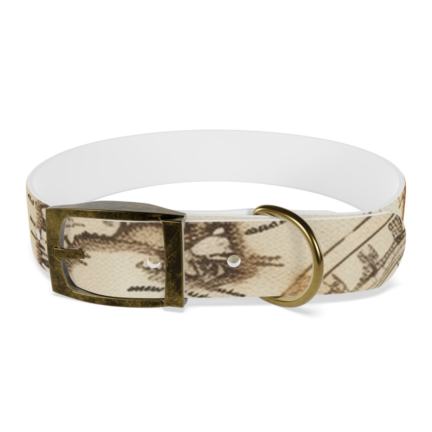 Chic Minimalist Dog Face Collar