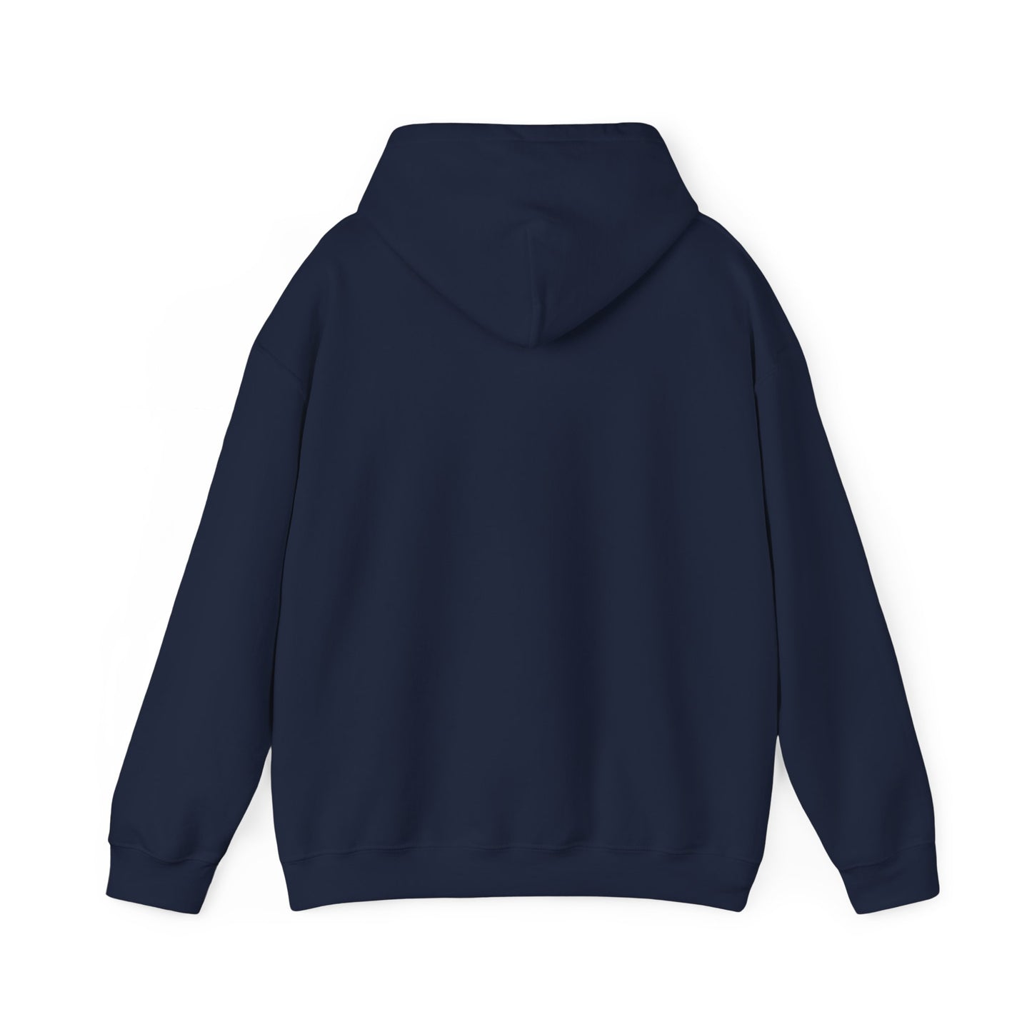 Copy of Louvre Paris Hoodie