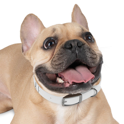 Sleek Pup Profile Collar