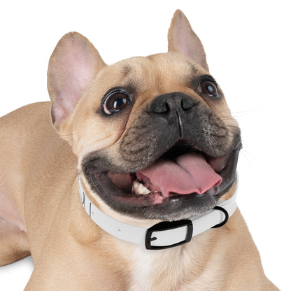 Sleek Pup Profile Collar