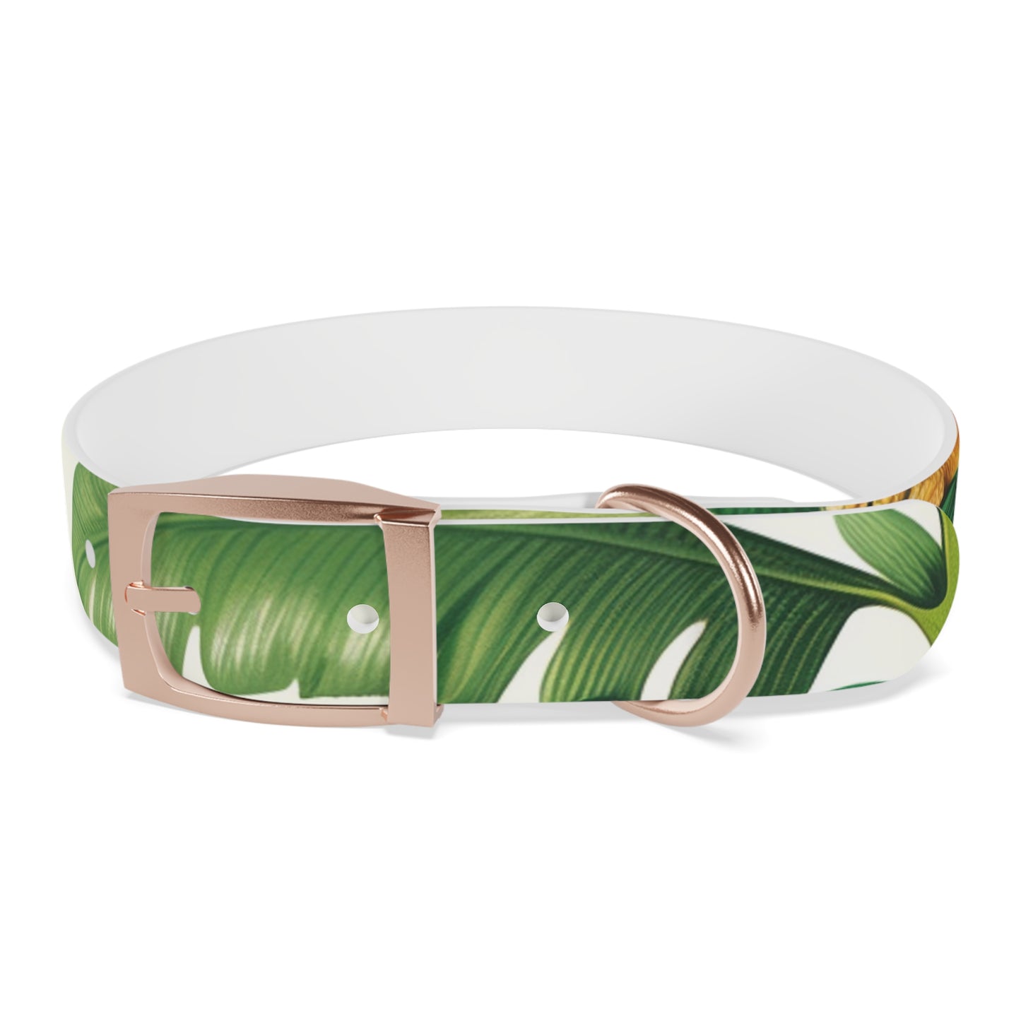 Tiger Stripe Jungle Collar: Adventure for Your Pup