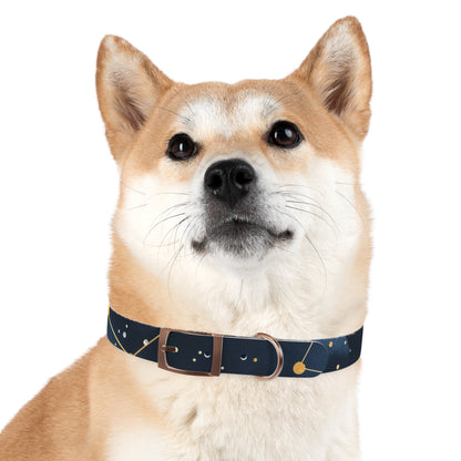 Chic Minimalist Dog Face Collar