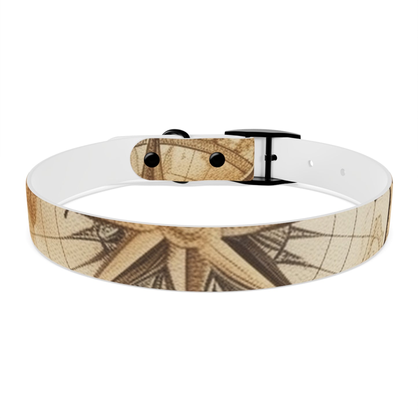 Chic Minimalist Dog Face Collar