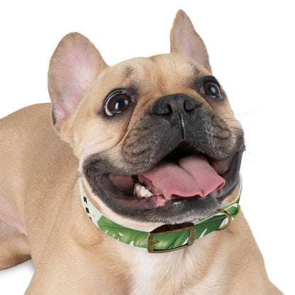 Tiger Stripe Jungle Collar: Adventure for Your Pup