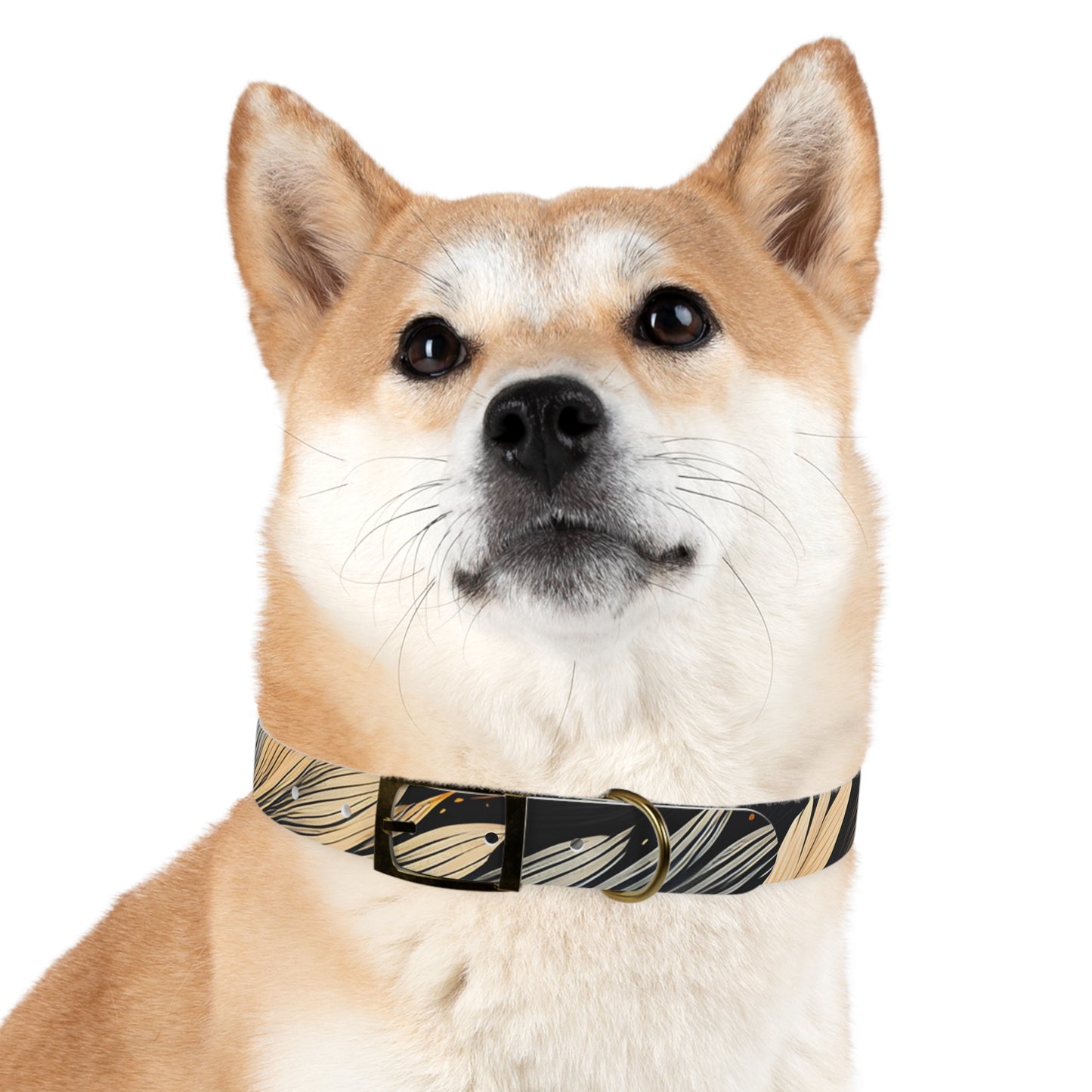 Dog Collar Test