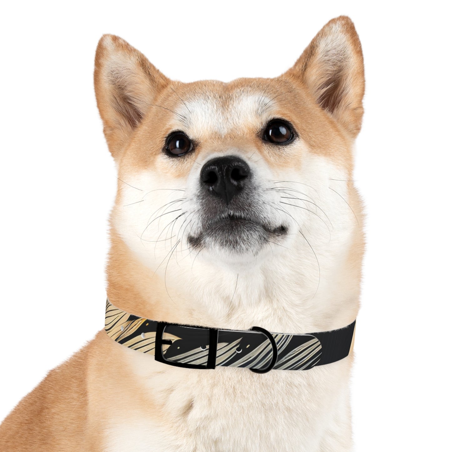 Dog Collar Test