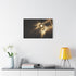 Solar Eclipse Casting Fractal Shadows — Canvas Wall Art — Product Detail View 7