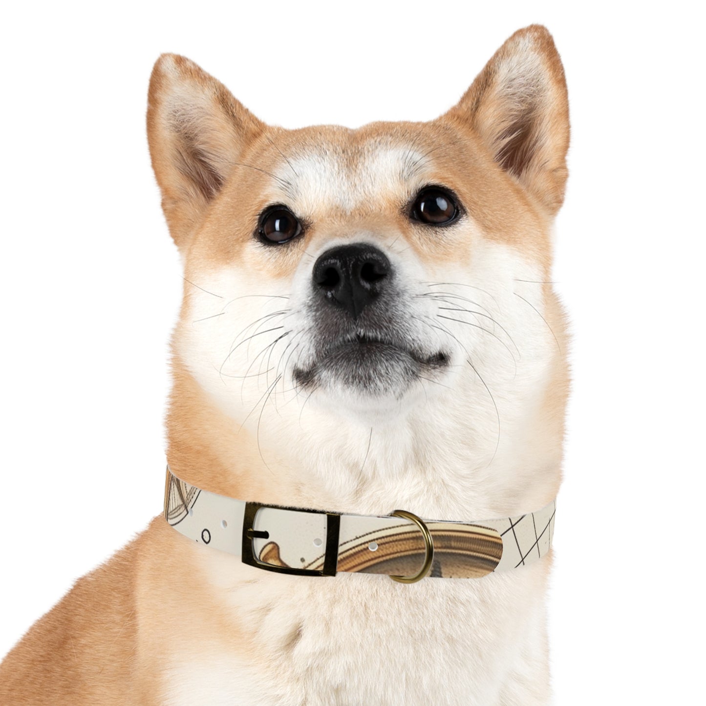 Chic Minimalist Dog Face Collar