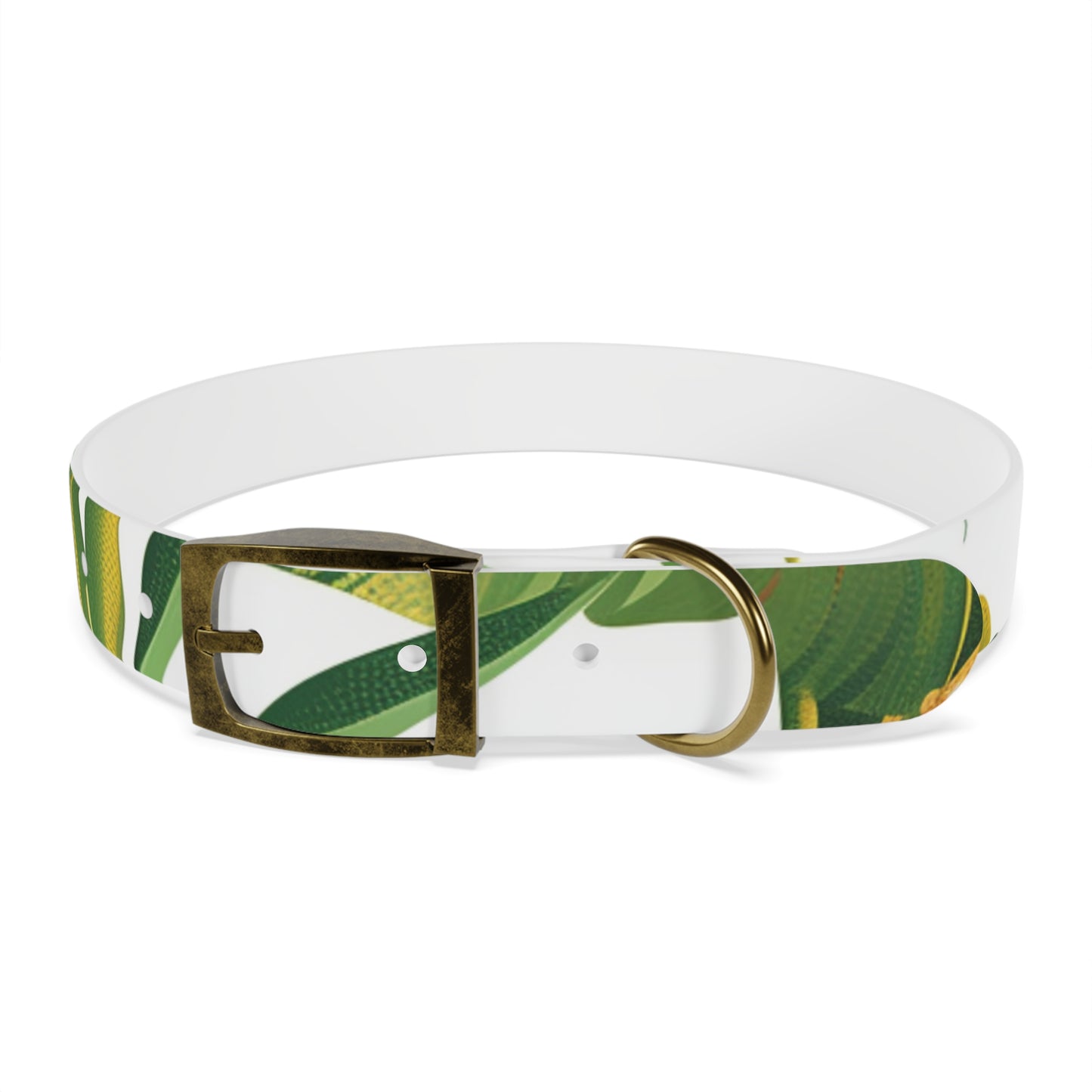 Tiger Jungle Safari Dog Collar