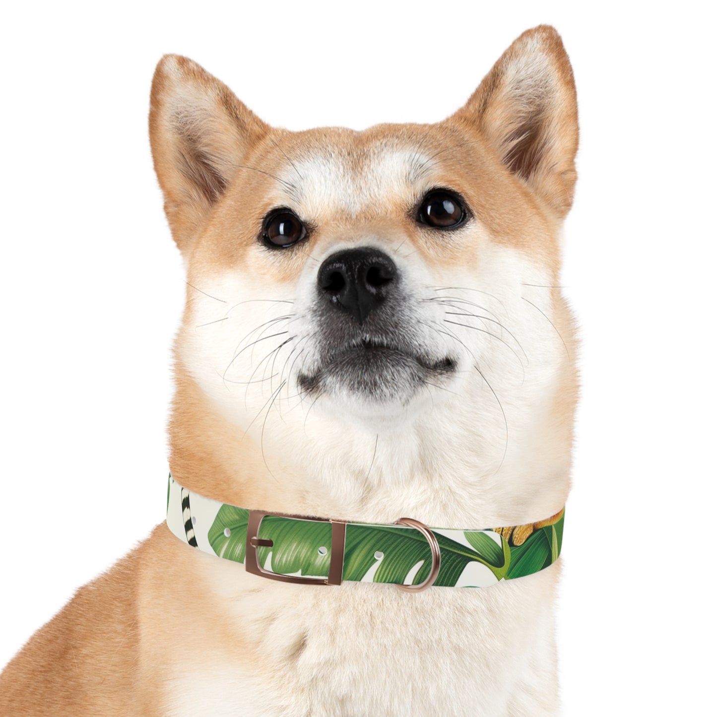 Tiger Stripe Jungle Collar: Adventure for Your Pup