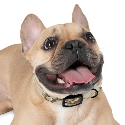 Chic Minimalist Dog Face Collar