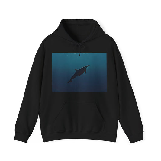 Echoes of the Deep Hoodie: Seven Oceans Adventure | Hoodies | DTG, Hoodies, Men's Clothing, Regular fit, Unisex, Women's Clothing | Prints with Passion