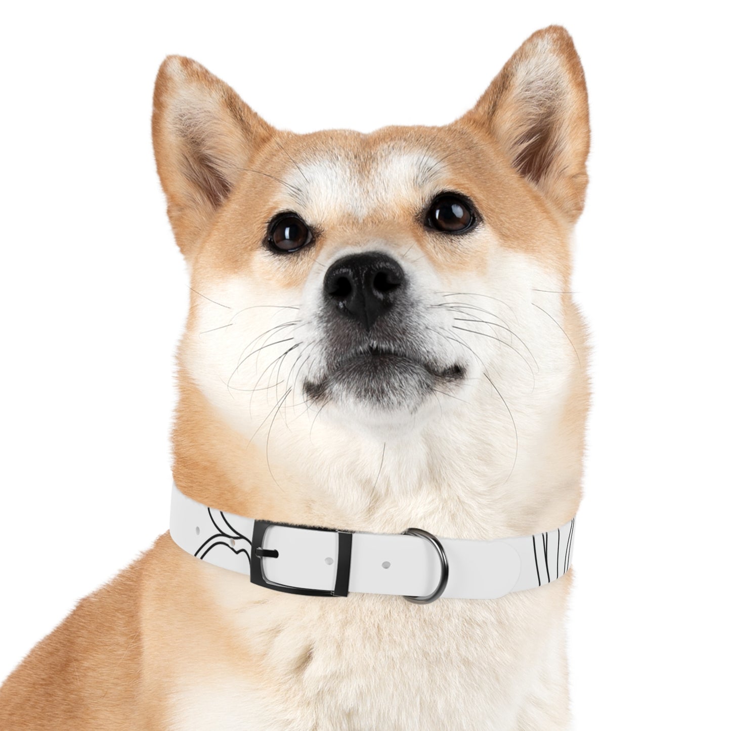 Chic Minimalist Dog Face Collar