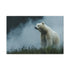 Spirit Bear Emerging from Cloud Mist — Canvas Wall Art — Front Gallery-Wrapped Canvas View