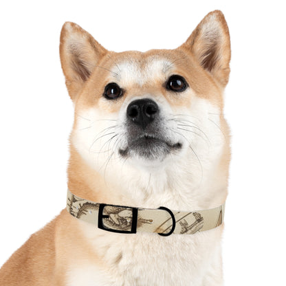 Chic Minimalist Dog Face Collar