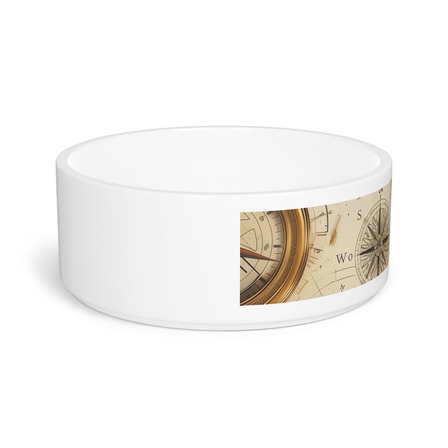 Travel the World Pet Bowl