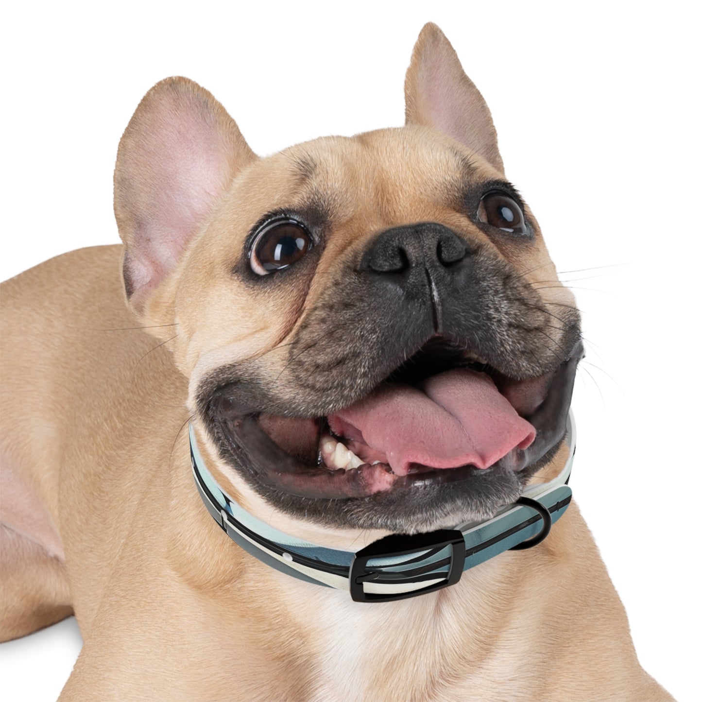 Artisan Tile Dog Collar: Stylish Canine Fashion