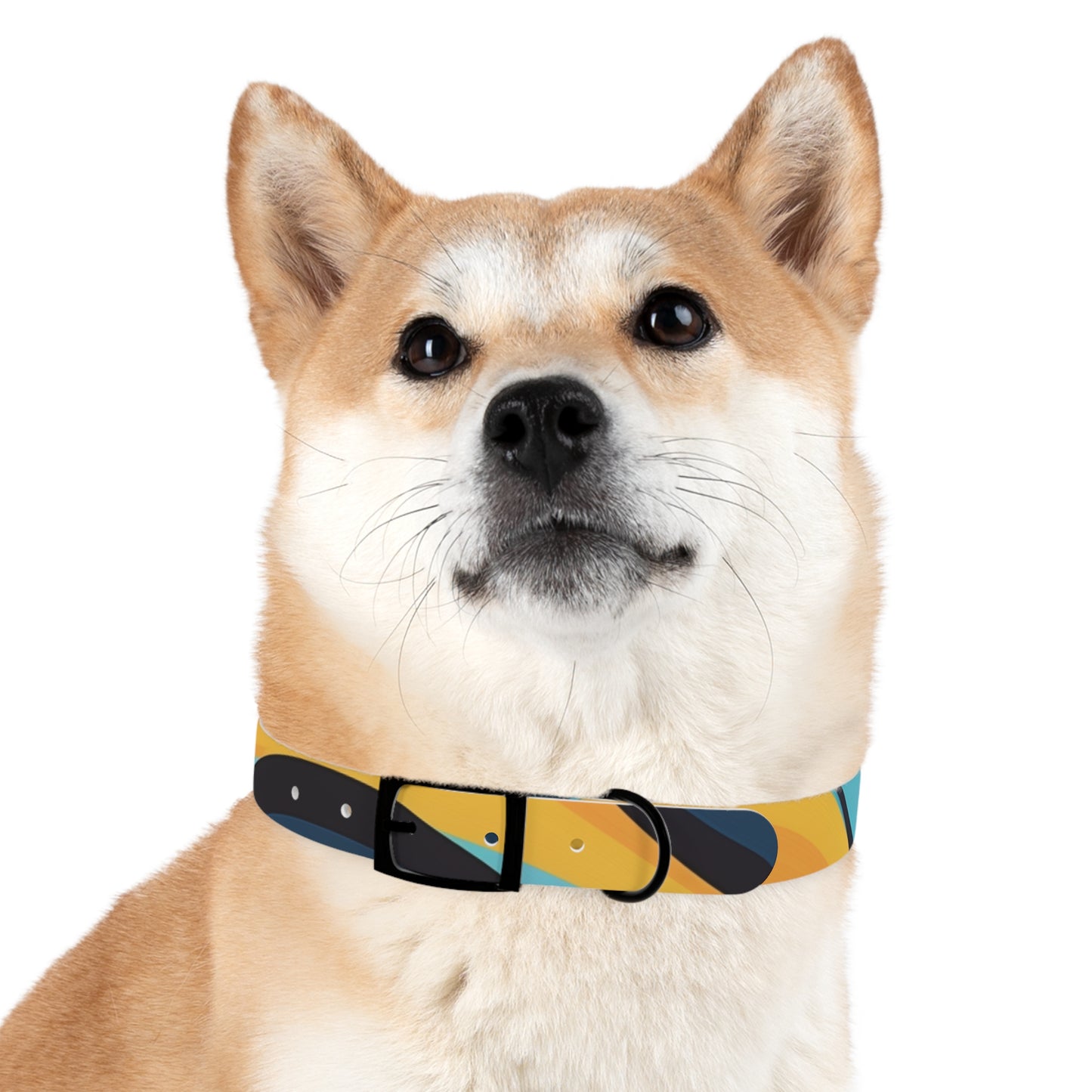 Retro Waves Dog Collar: Vibrant Style