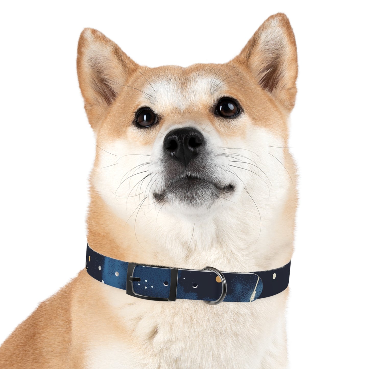 Chic Minimalist Dog Face Collar