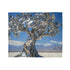 Mechanical Tree in Metallic Desert — Plush Fleece Throw Blanket — Draped Over Sofa & Bed Lifestyle View