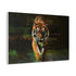 Tiger Emerging from Digital Glitch Stretched Canvas Wall Art
