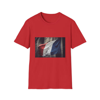 🇫🇷 Tricolore Tapestry: A Symphony of Blue, White, and Red 🇫🇷