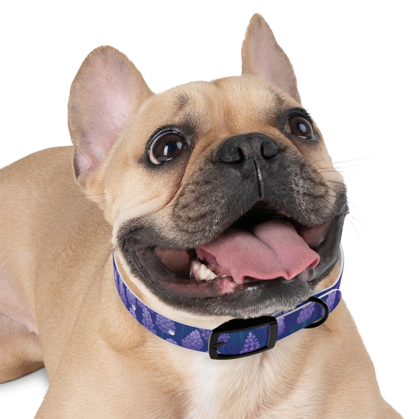 Lavender Fields Dog Collar: Stylish Seamlessness