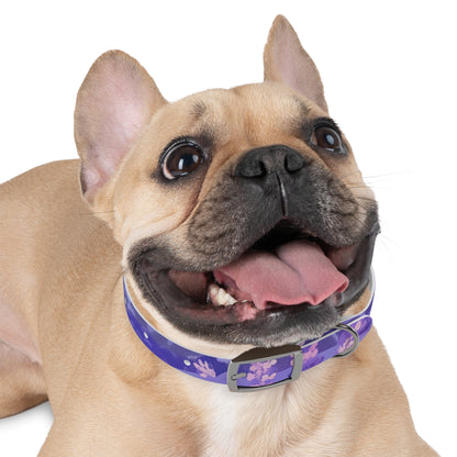 Lavender Fields Dog Collar: Pet Paradise