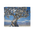 Mechanical Tree in Metallic Desert — Plush Fleece Throw Blanket — Full Flat Artwork View