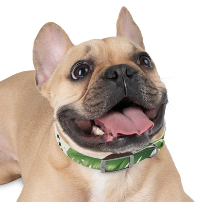 Tiger Stripe Jungle Collar: Adventure for Your Pup