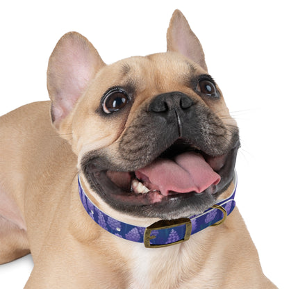 Lavender Fields Dog Collar: Stylish Seamlessness