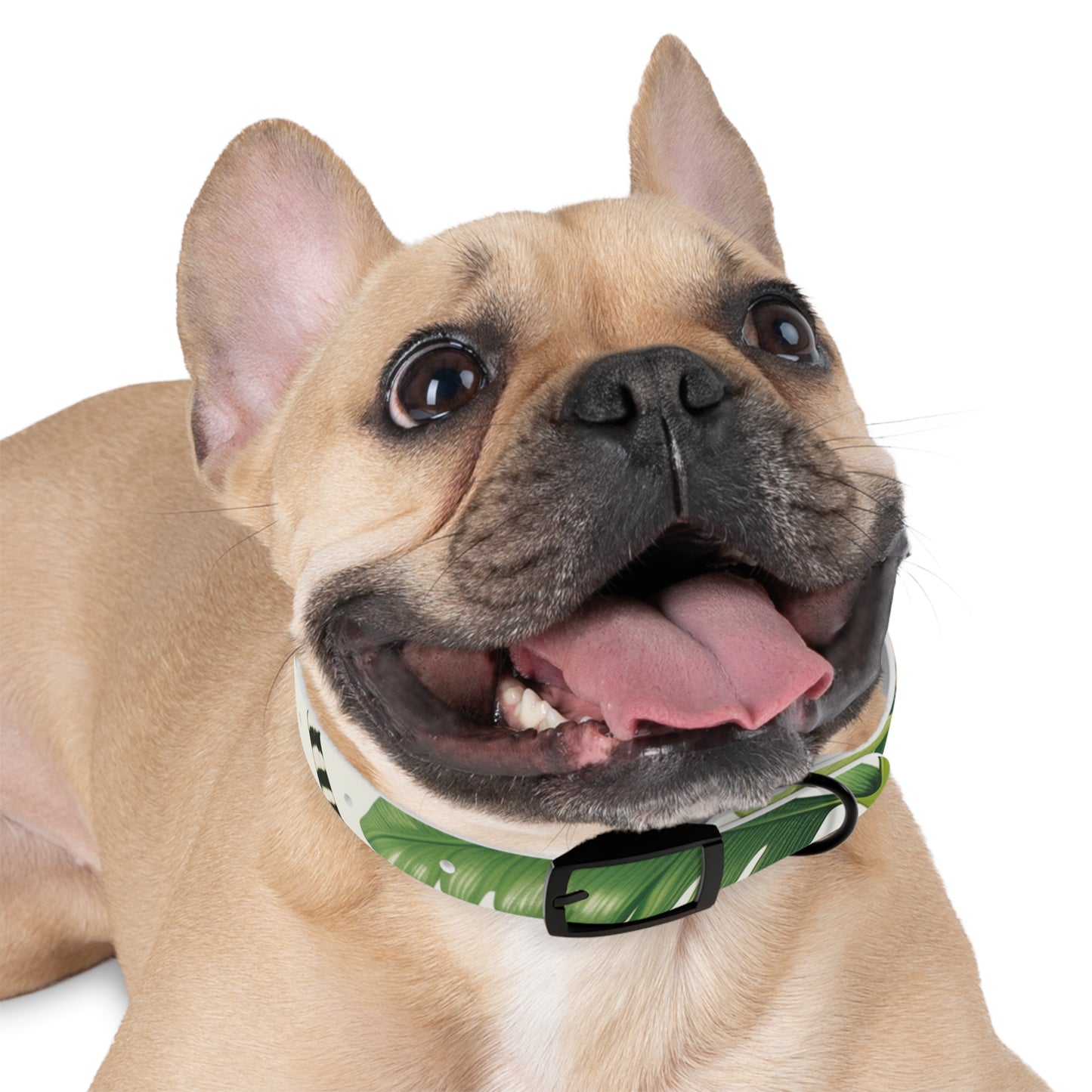 Tiger Stripe Jungle Collar: Adventure for Your Pup